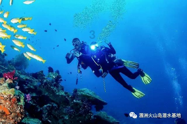 什么季节的螃蟹最肥?吃起来最过瘾?-汇集全球最新信息的红迪网平台
